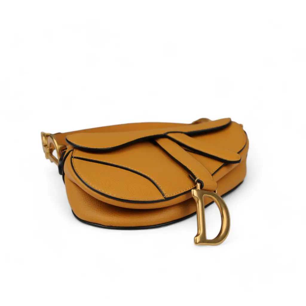 Diôr Sac à main Saddle
