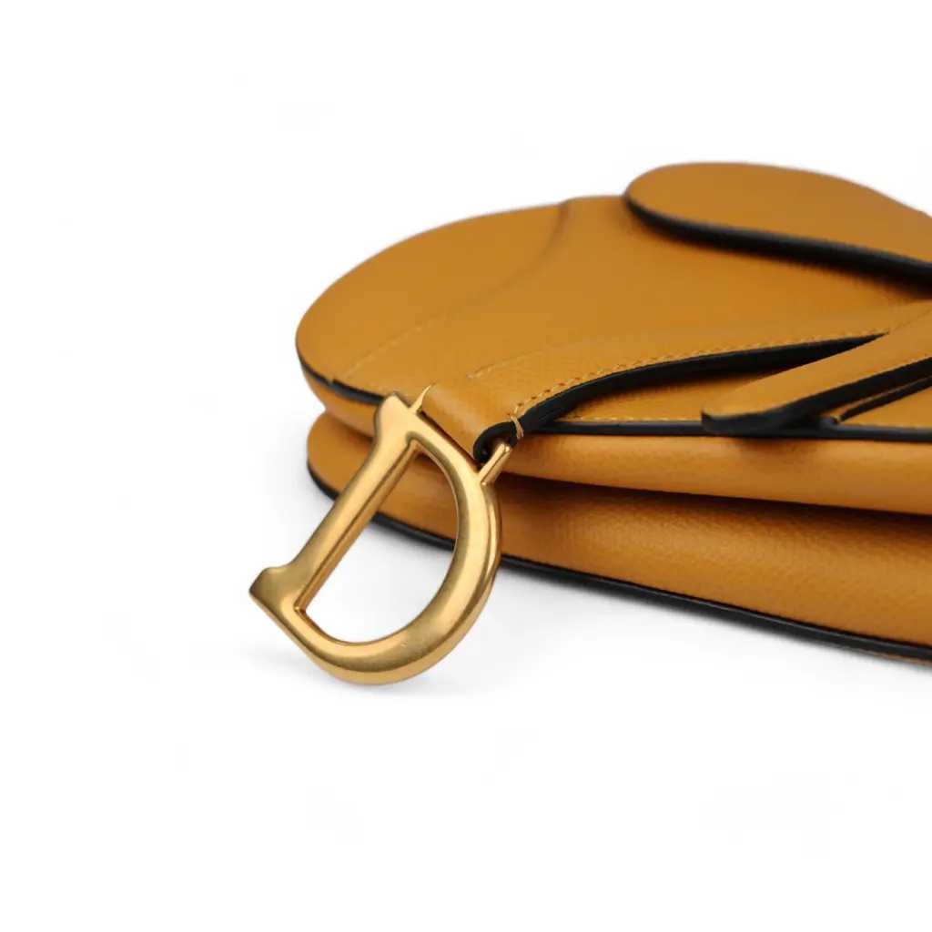 Diôr Sac à main Saddle