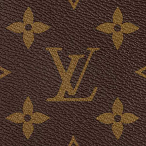 LV Sac Speedy Bandoulière 20 en cuir