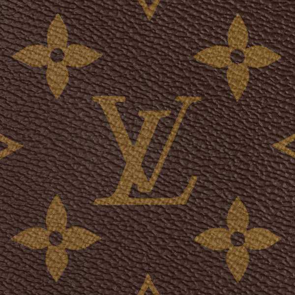 LV Sac Speedy Bandoulière 20 en cuir