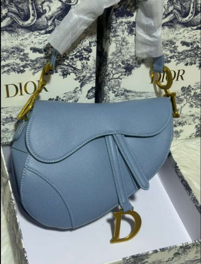 DIÔR SACS A MAIN saddle - M0446CWUG94H porté épaule