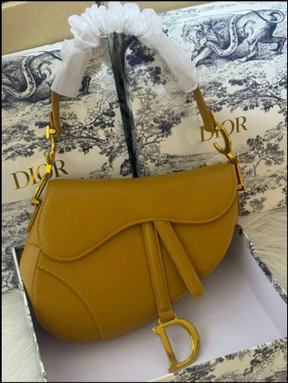 Diôr Sac à main Saddle