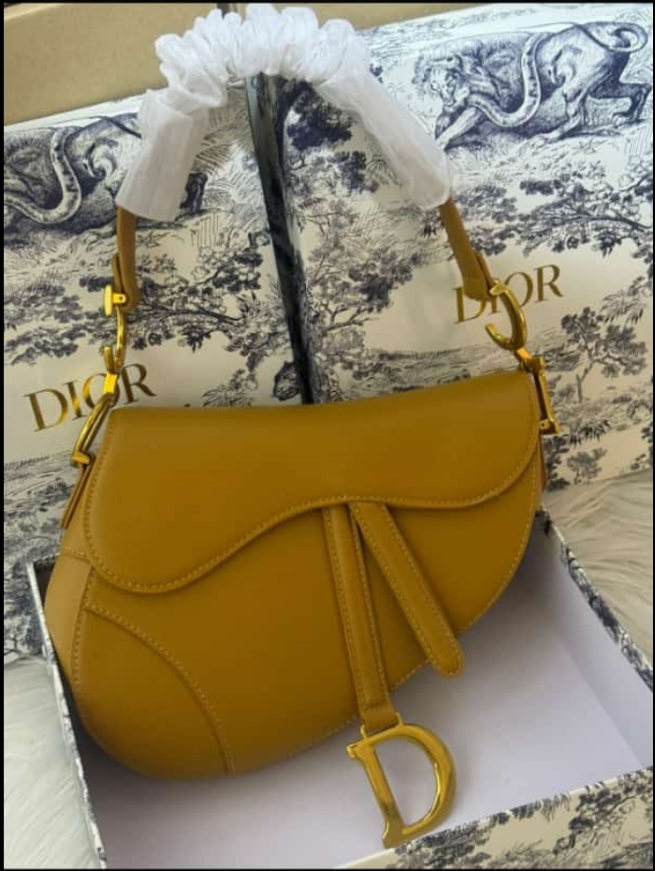 Diôr Sac à main Saddle