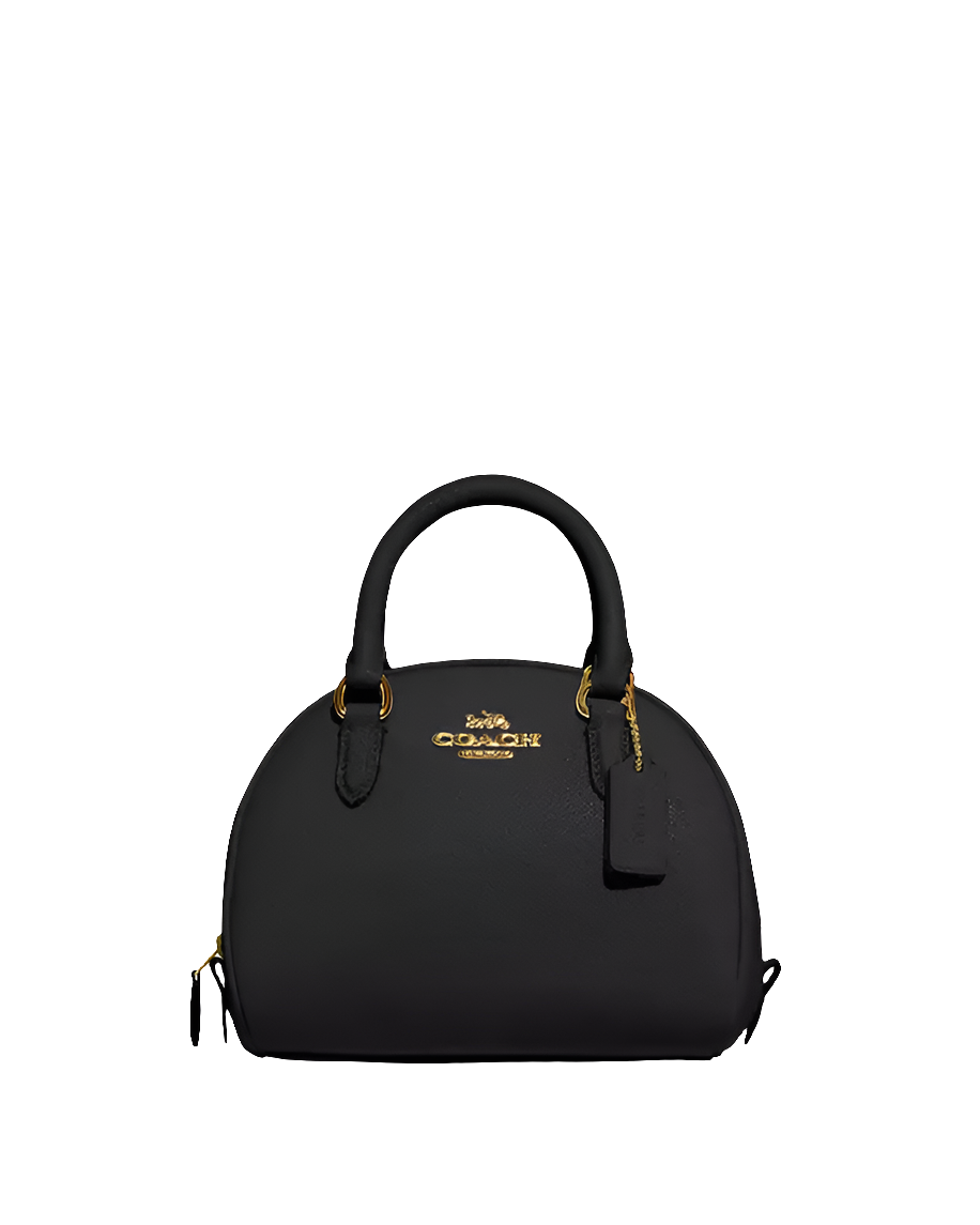 Co@ch Satchel Sydney