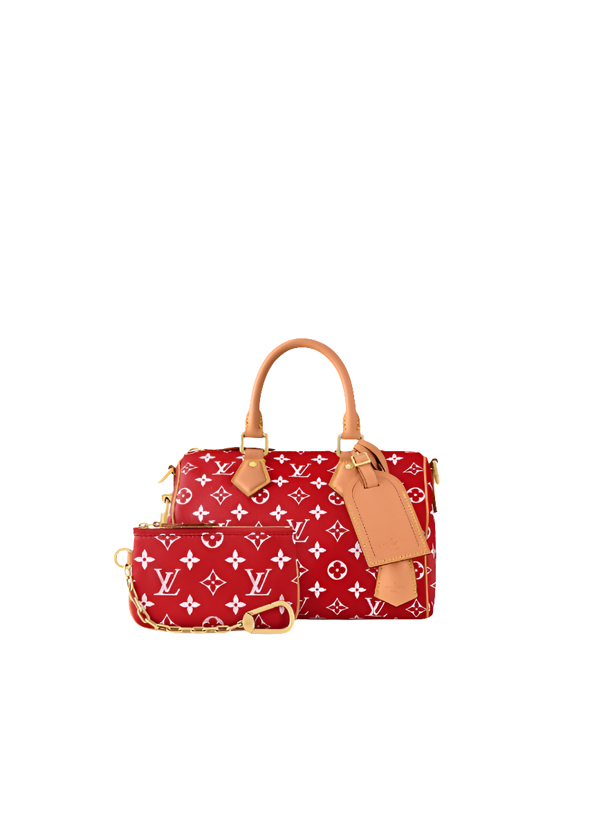 LV Speedy P9 Bandoulière 25