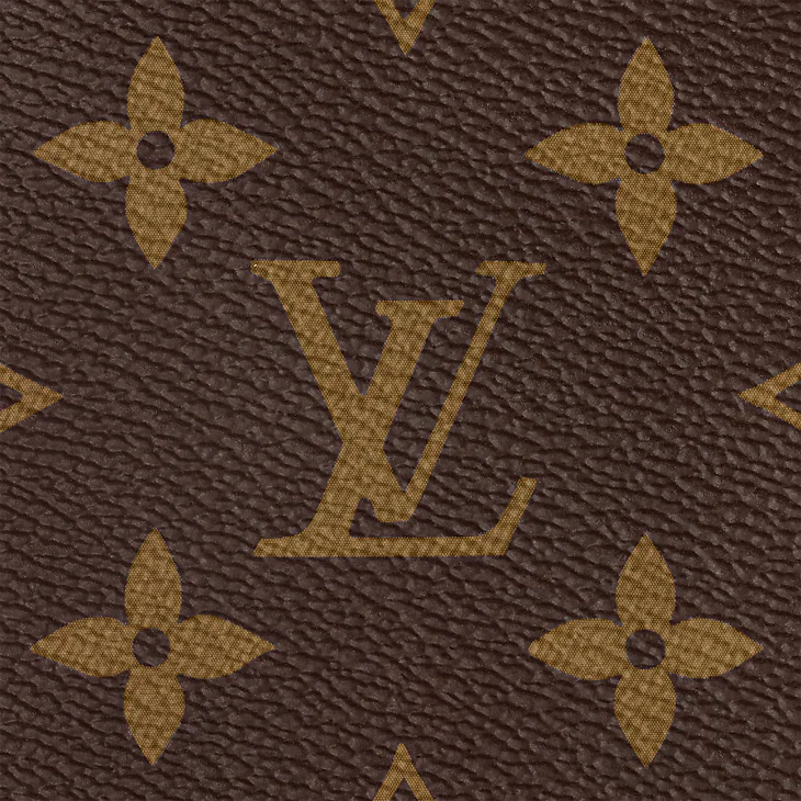Sac Speedy Bandoulière 20 en cuir