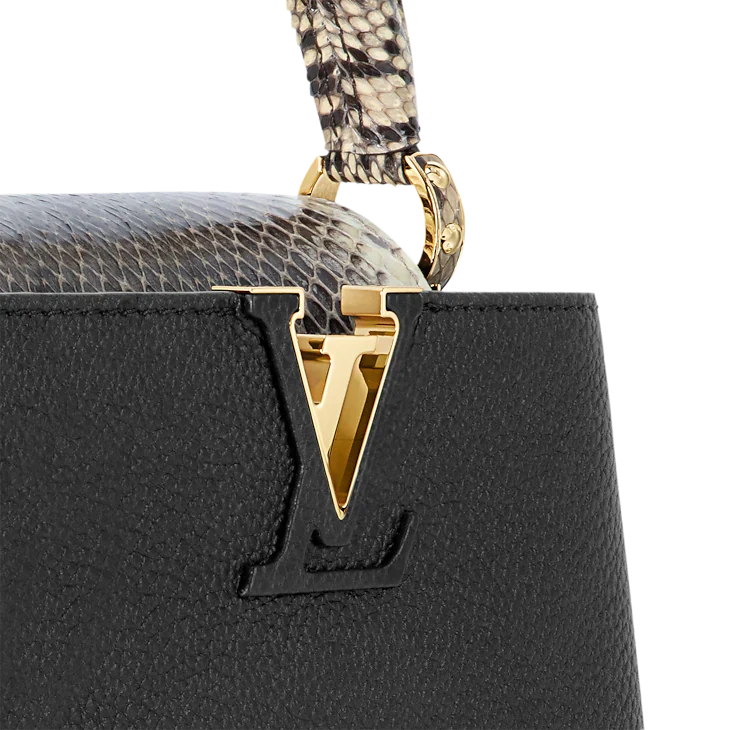 LV Sac Capucines Mini