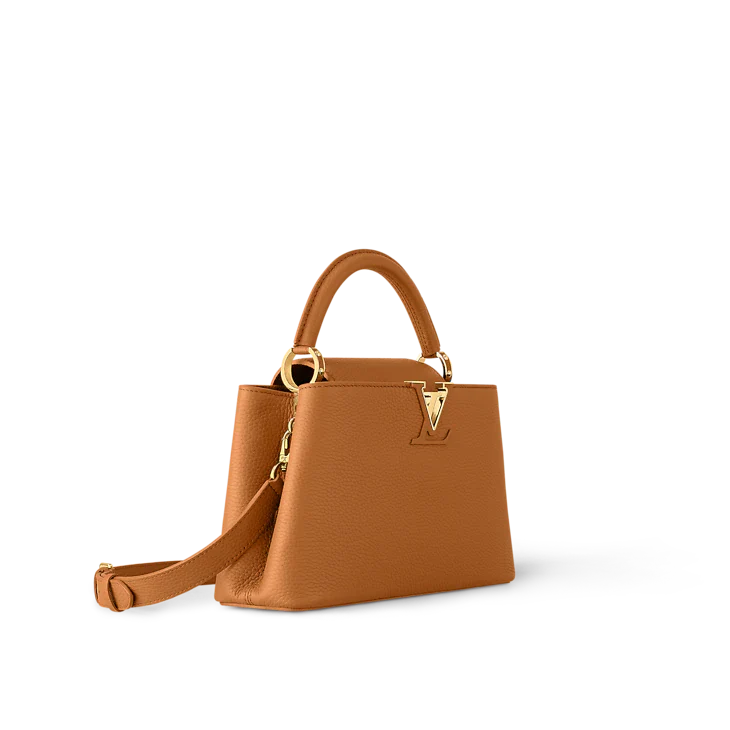 LV Sac Capucines Mini en cuir