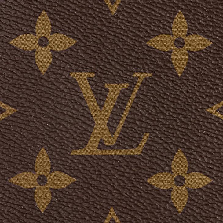 LV Side Trunk MM En cuir