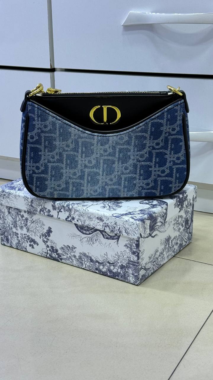 Diôr Montaigne Hobo Avenue Mini Bag