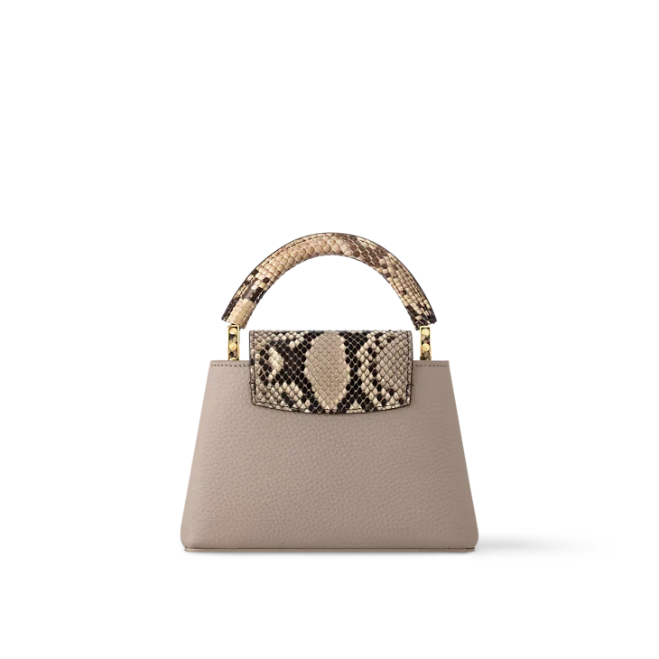 LV Sac Capucines Mini
