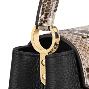 LV Sac Capucines Mini