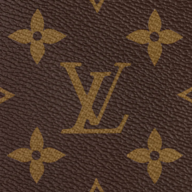LV Cabas Neverfull 
Marron
