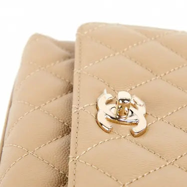 Sac Coco Handle Sac à main
Beige