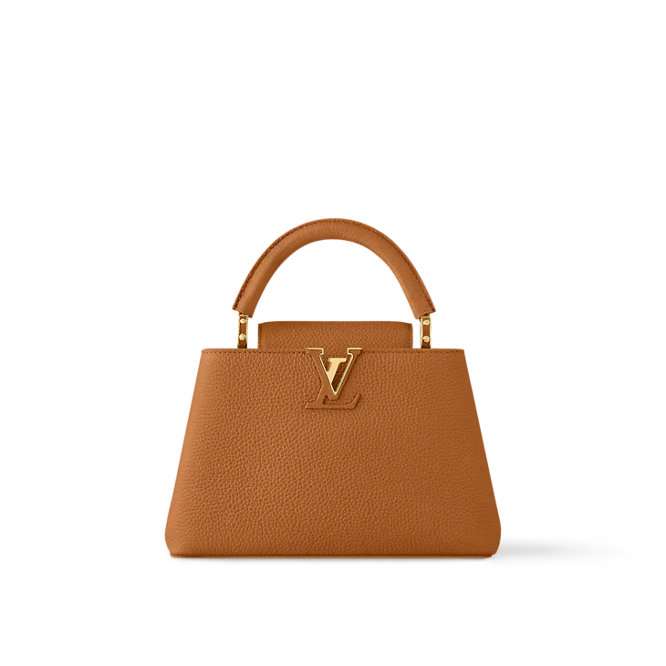 LV Sac Capucines Mini en cuir