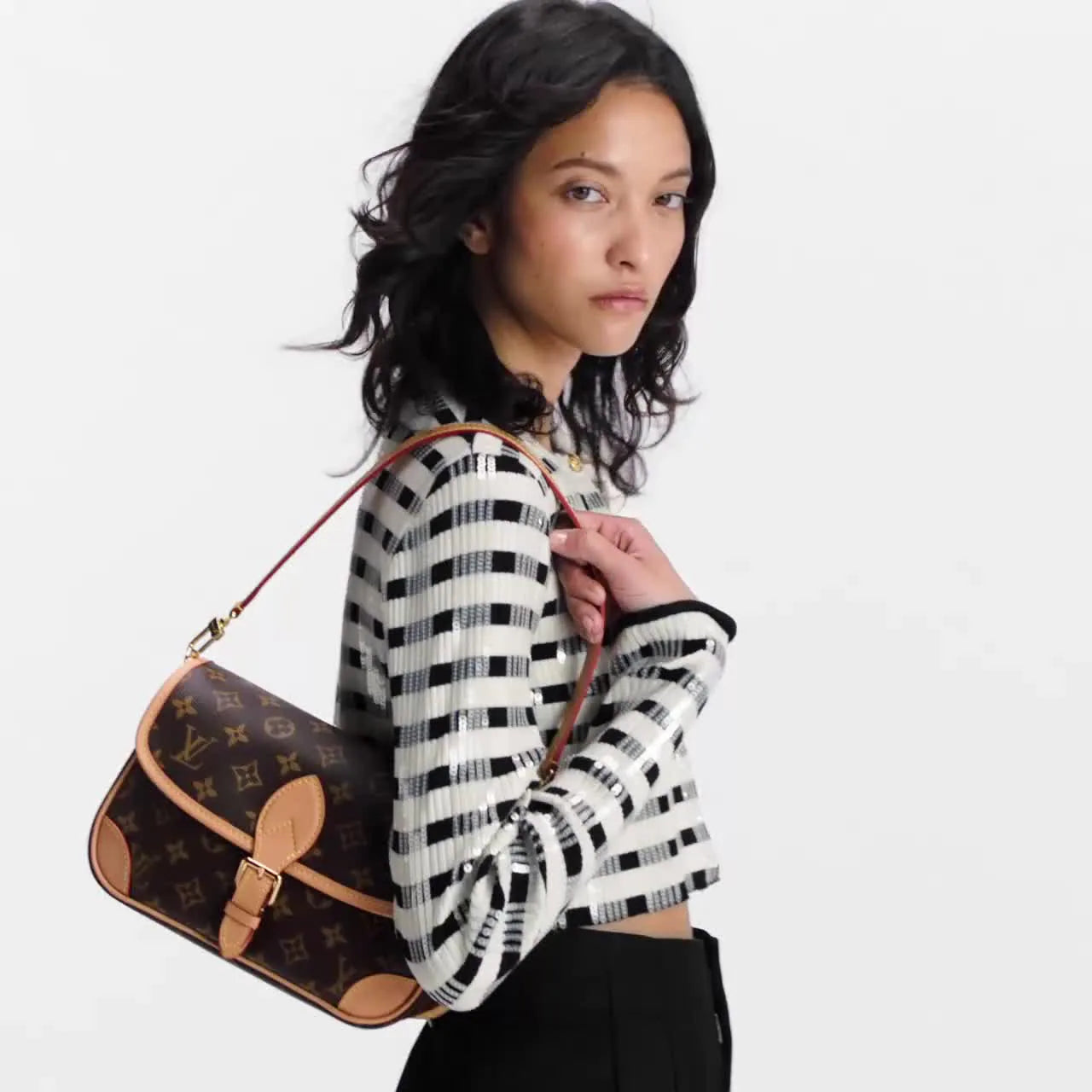 LV Sac Diane