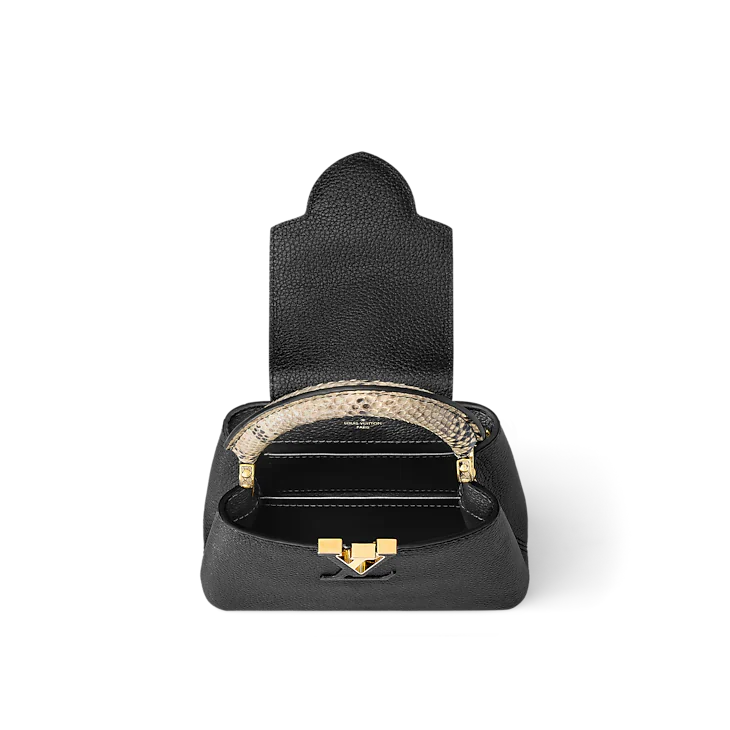 LV Sac Capucines Mini